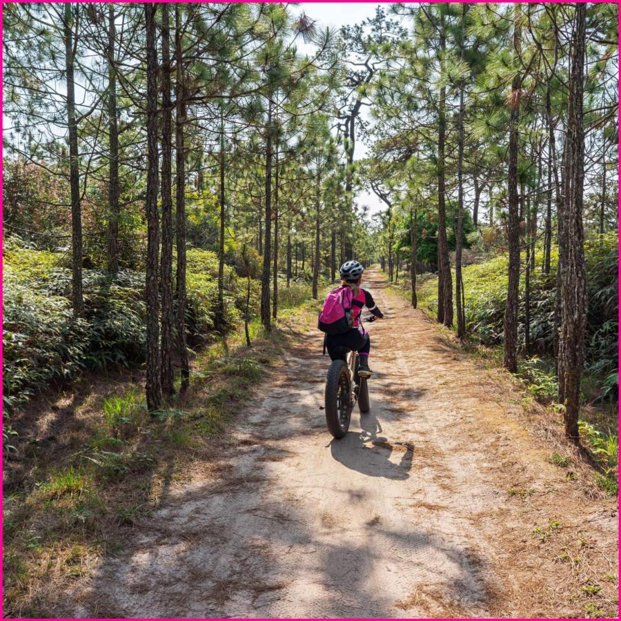 Mobilhome 2Ch Climatise-Terrasse Fermee-4 Velos-Camping 4 Etoiles Les Charmettes Les Mathes Buitenkant foto